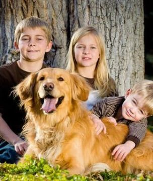 dog with kids