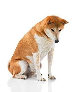 image_desktop